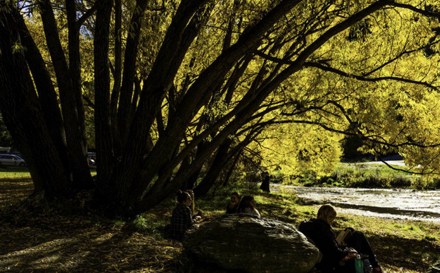 新西兰南岛的冬天,新西兰南岛秋天最佳时间