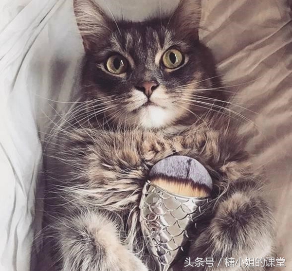 当朋友圈被咸鱼化妆刷刷屏，我想起了那些年我们刷脸用的魔法杖