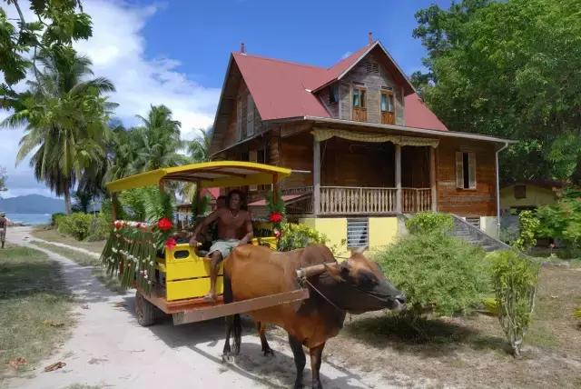 喜大普奔！本月起降价啦，办护照少交40元，重点是能够不排队！