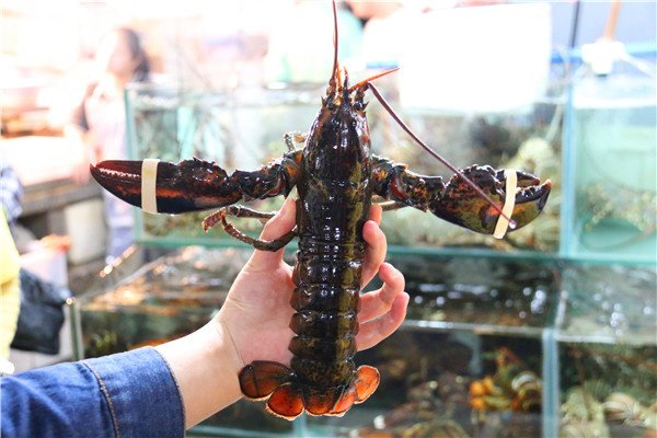 三亚旅游防蚊虫攻略,三亚防宰攻略详细