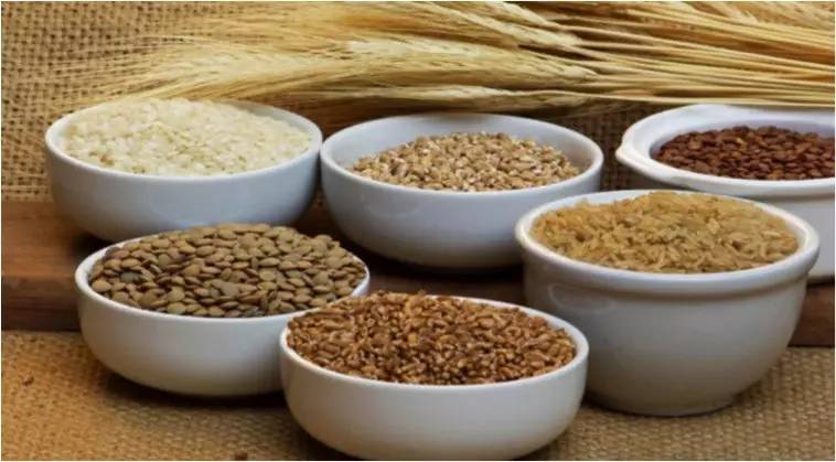 谷物大脑可信吗,谷物大脑的看法可信吗