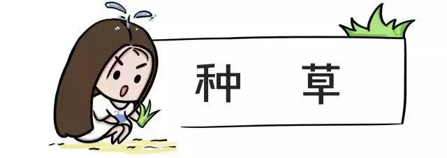 女人必备的12支口红,女人必备的七支口红价目表