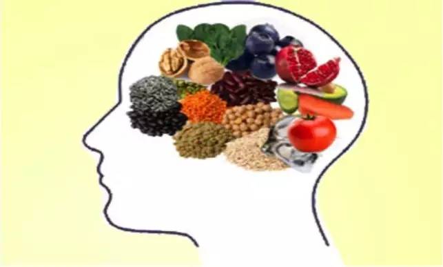 谷物大脑可信吗,谷物大脑的看法可信吗