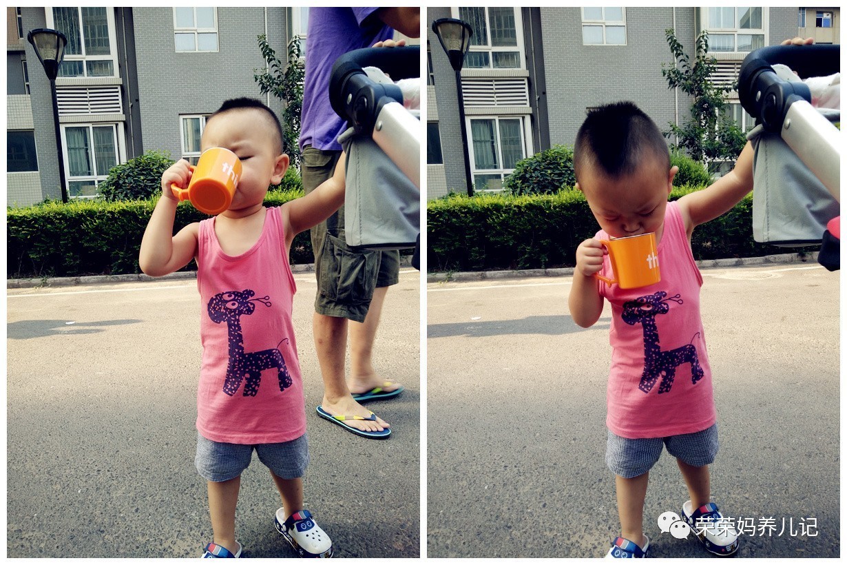 喂一个孩子长大竟然需要用这么多碗？细数各种类型的辅食碗优劣