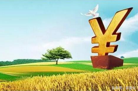 农业种植什么项目前景好挣钱多,做什么农业项目最挣钱