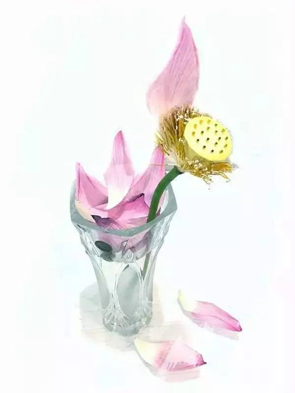 用手机拍照片的技巧,手机什么软件拍出来的照片最好看