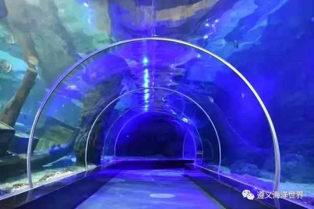 海有夜游别怪我没提醒你，购买夜票你能看到不一样的精彩！