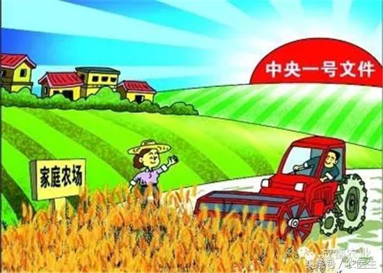 农业种植什么项目前景好挣钱多,做什么农业项目最挣钱