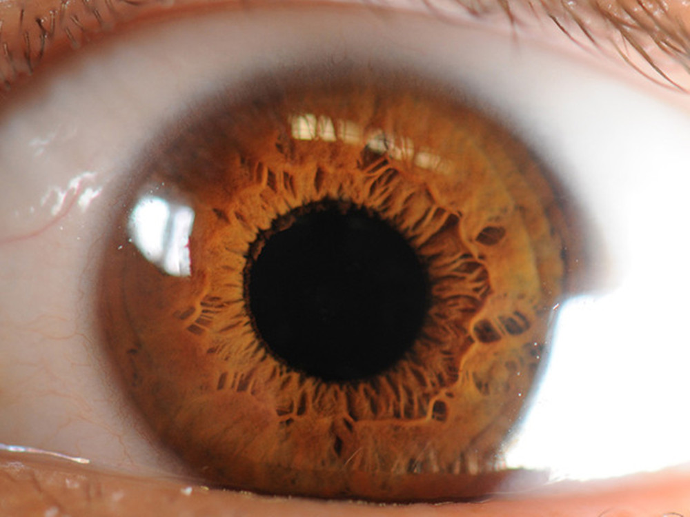 全新三星s8+还能买的到吗,苹果和三星s8选哪个