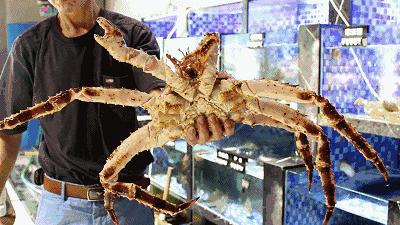 9大商圈100+餐厅5折狂欢！连high4天总有1家是你的菜