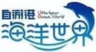 海有夜游别怪我没提醒你，购买夜票你能看到不一样的精彩！