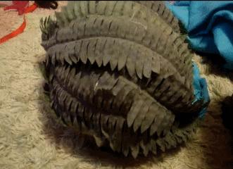 我就像一只趴在玻璃窗上面的苍蝇,我就像一只趴在玻璃上的苍蝇