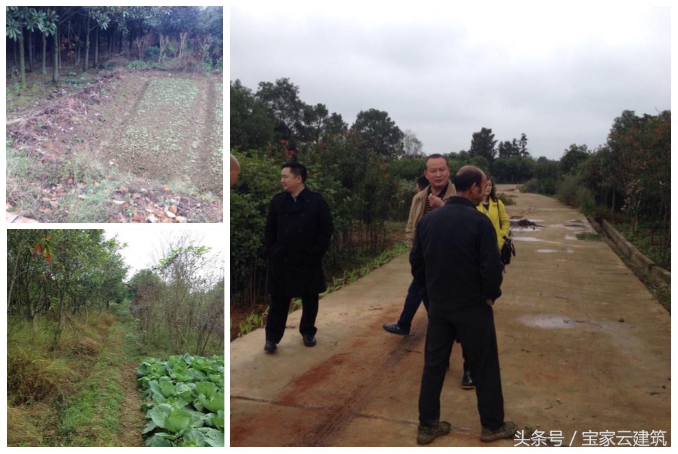湖南浏阳私宅建设项目｜看一套好的乡村别墅是如何落成的，有你关心的每一个自建房细节（一）