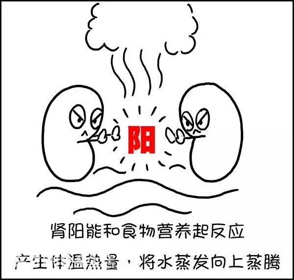 艾灸一段时间反而变胖了是咋回事,为什么喝口水都会胖