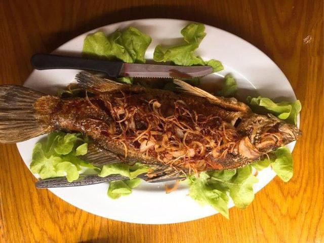 啦啦旅行-此文有毒！看完导致胃疼.....