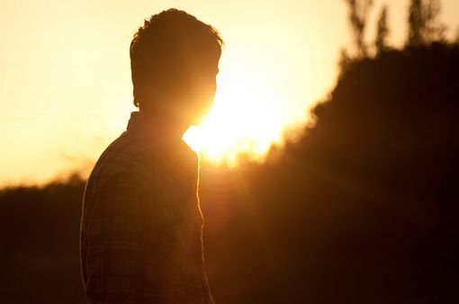 鲍鱼鱼翅的营养价值,鲍鱼鱼翅的营养成分真的高吗