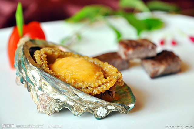 鲍鱼鱼翅的营养价值,鲍鱼鱼翅的营养成分真的高吗