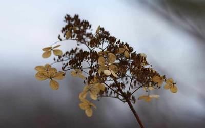 花店月入10万的秘诀,花店如何快速赚钱