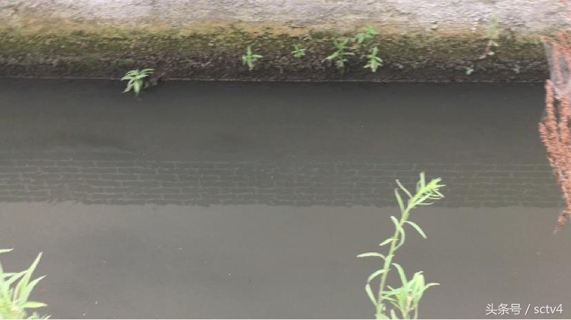 间隔排污“游击战”村级联动打掉它