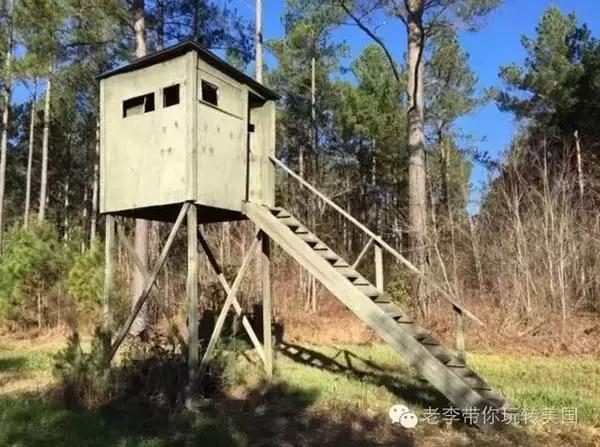 嗨文化｜美国狩猎：吃到嘴的意义