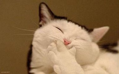 我就像一只趴在玻璃窗上面的苍蝇,我就像一只趴在玻璃上的苍蝇