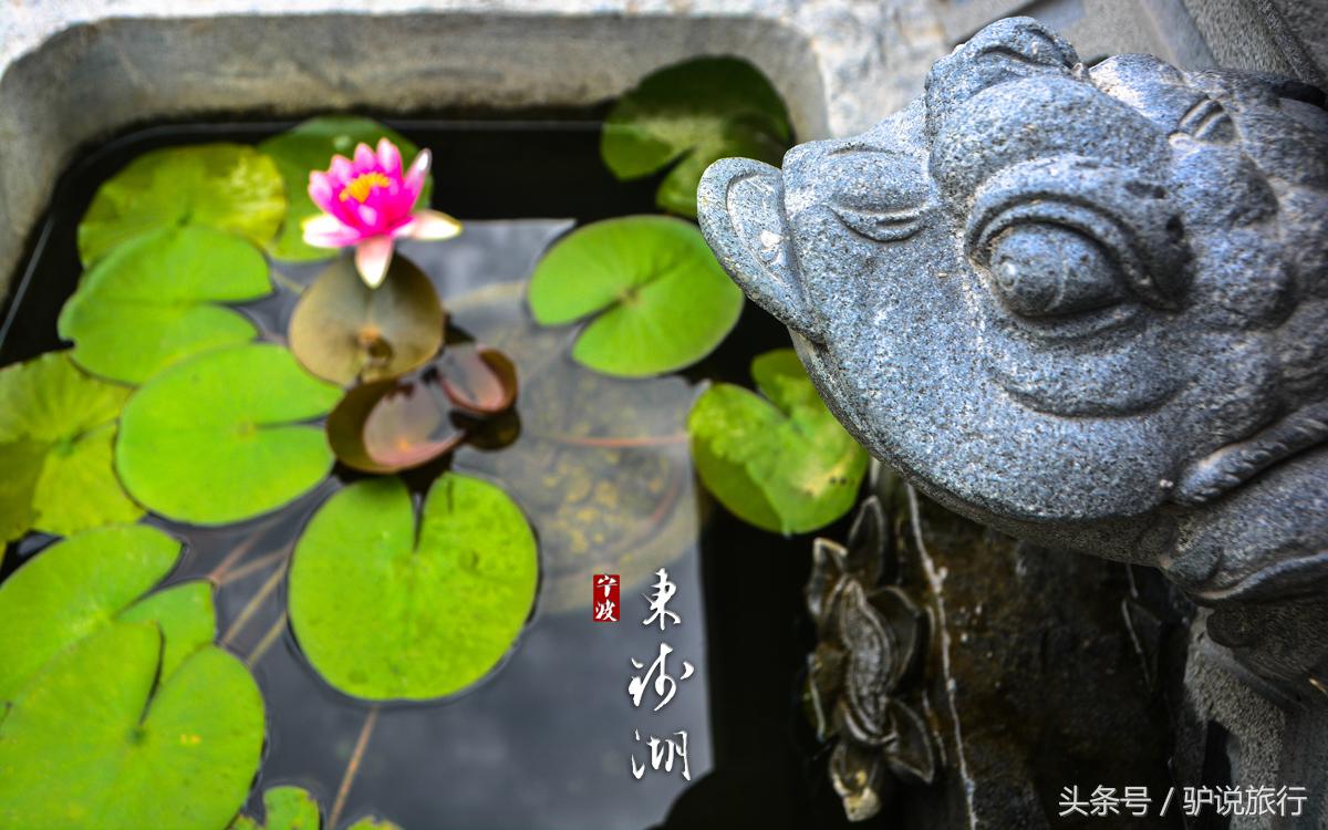 阿拉宁波历史底蕴,浙江第一大淡水湖西湖