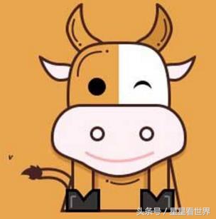 属兔的能与属牛属鼠的共事吗,属牛的和属鼠兔的婚姻怎么样