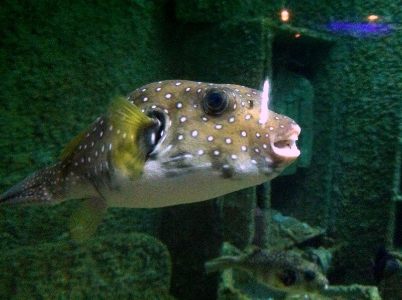 台湾亲子游最佳路线推荐,台湾亲子游十大好去处