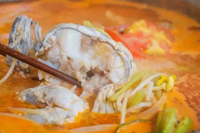 14年了，它在成都找不到对手