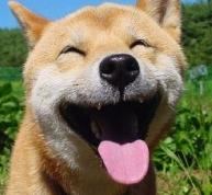 天热来个冷笑话幽默,天热讲个冷笑话