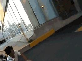 八哥洗澡搞笑幽默段子,关于八哥的笑话