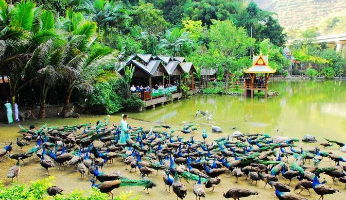 去云南玩两天攻略怎么玩好一点 (云南旅游自由行攻略7天路线推荐)