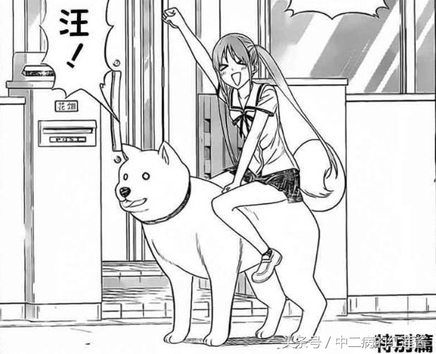 《笨女孩》被一个笨蛋带坏的小镇，唯独这条狗全面过人