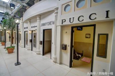 王思聪能够带狗上飞机吗 (王思聪飞机能够带狗吗)