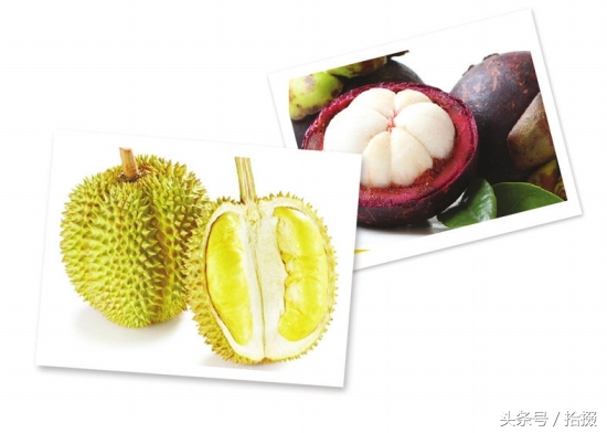 山竹大家都吃过但怎么挑选山竹,如何挑选山竹才是最新鲜的