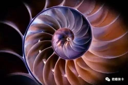 7种构图法,曲线构图十大技巧