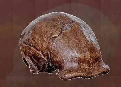 二战中的航母被日本击沉,二战中美国被击沉的航母有哪些