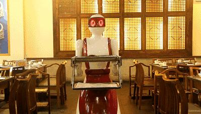 14年了，它在成都找不到对手