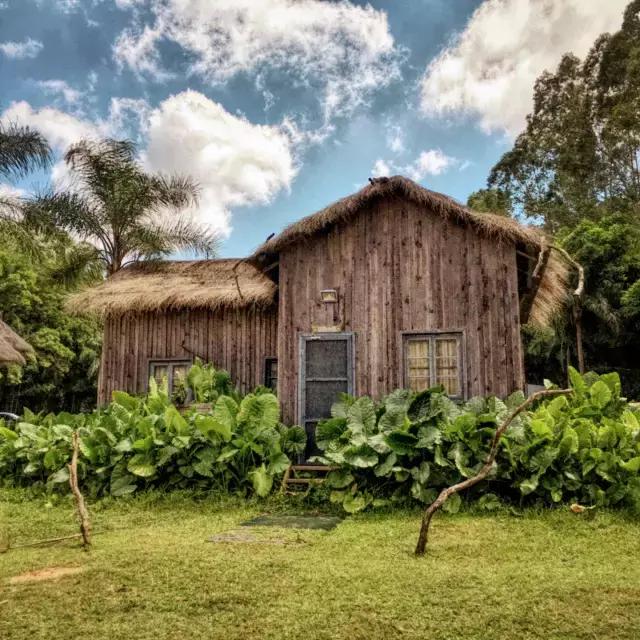 广州旅游攻略长隆动物世界,去广州旅游攻略长隆动物园