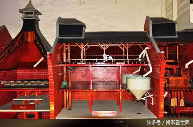 品味生命之美歌曲,生命之水感悟