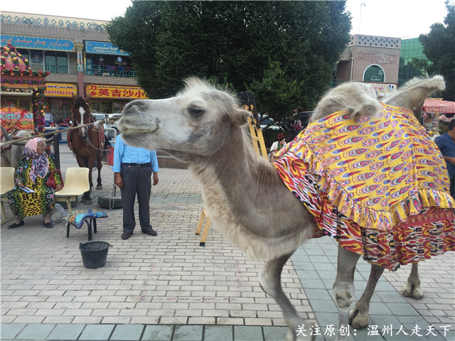 新疆南疆之旅攻略火车,为期八天的南疆之旅完美结束
