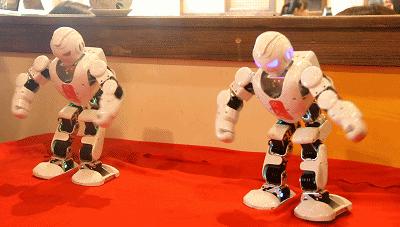 14年了，它在成都找不到对手