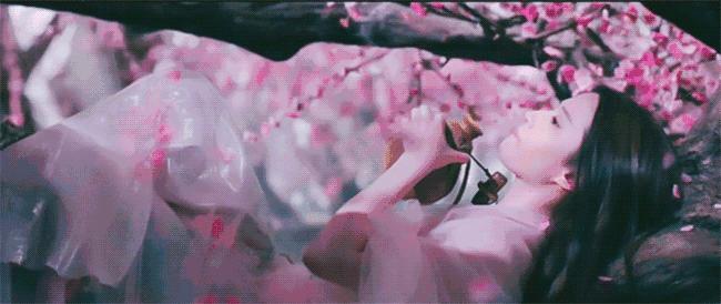 杨采钰点赞刘亦菲微博,杨采钰点赞刘亦菲黑料是真的吗