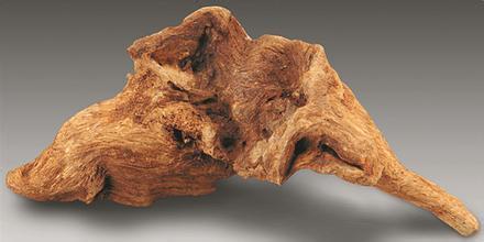 沉香的药用历史与药用研究,沉香品种的功效与功能