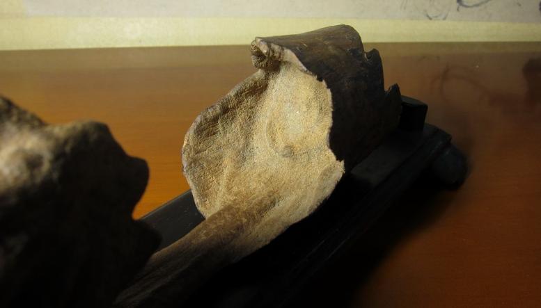 沉香的药用历史与药用研究,沉香品种的功效与功能