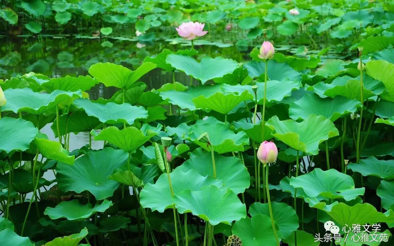 七月：当我刚打下“七月”两个字时候，突然