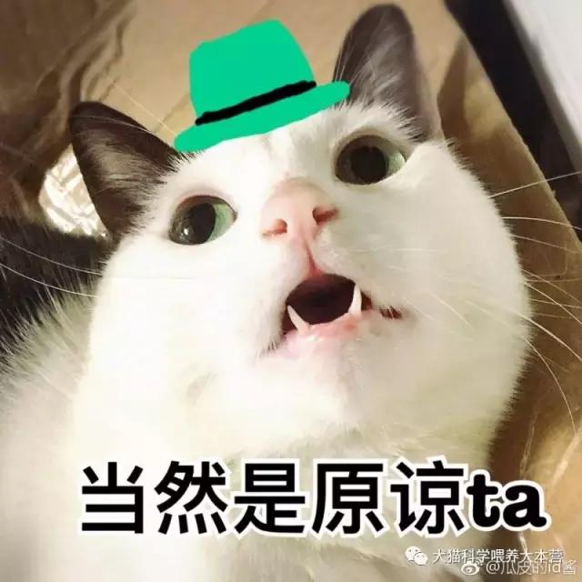 猫毛难剃,猫毛难拔怎么办