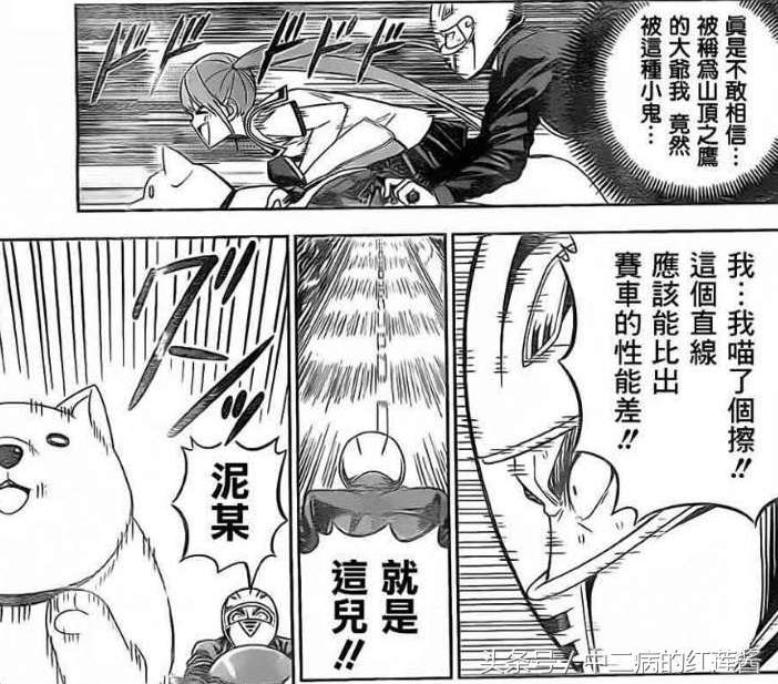 《笨女孩》被一个笨蛋带坏的小镇，唯独这条狗全面过人