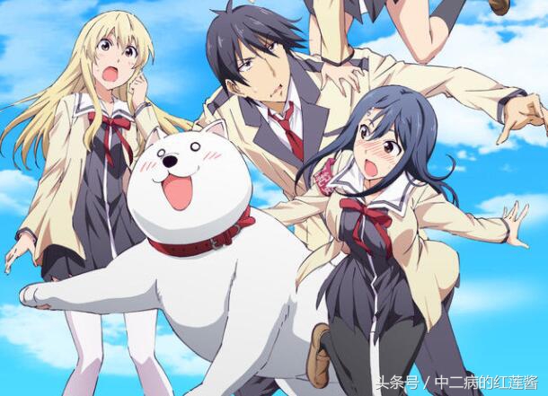 《笨女孩》被一个笨蛋带坏的小镇，唯独这条狗全面过人