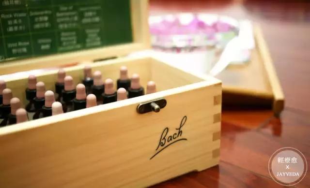 情绪与花精—Bach原创花精简介